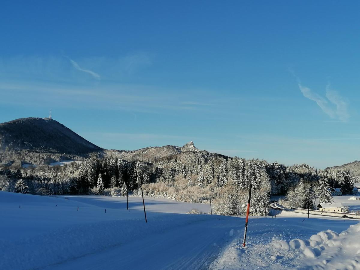 Ferienhof Kehlbauer Hof bei Salzburg Kültér fotó